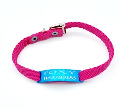 Chapita Gato Pasador TURQUESA + Collar 1 Cm Reforzado FUCSIA en internet