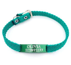 Chapita Gato Pasador VERDE+ Collar 1 Cm Reforzado VERDE