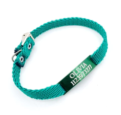 Chapita Gato Pasador VERDE+ Collar 1 Cm Reforzado VERDE - comprar online