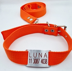 Chapita Pasador + collar y Correa NARANJA 3cm de ancho