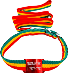 Chapita pasador para collares de 3cm de ancho rojo+ Collar + Correa Bolivia - comprar online