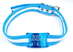 Chapita de aluminio anodizado ARGENTINA CAMPEON+Collar de Argentina Edicion Limitada - Medallas para Perros
