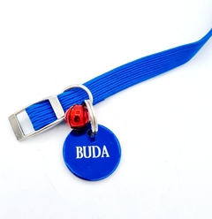 Chapita Perro Chico O Gato De Color azul + Collar 1 Cm Elastizado azul