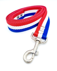 Collar+Correa de 3cm de ancho Frances - comprar online