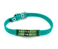 Chapita Gato Pasador VERDE+ Collar 1 Cm Reforzado VERDE