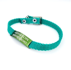 Chapita Gato Pasador VERDE+ Collar 1 Cm Reforzado VERDE en internet