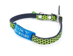 Chapita pasador para gatos TURQUESA+ Collar rombos VERDE MANZANA en internet