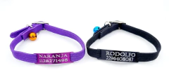 Imagen de 2 Combos Chapita Gato Color + Collar 1 Cm Elastizado VIOLETA NEGRO