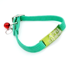 Chapita pasador de gatos VERDE MANZANA+ Collar elastizado VERDE OSCURO en internet