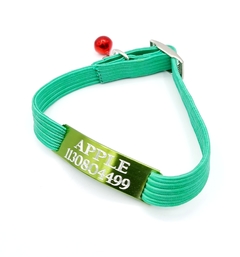 Chapita pasador de gatos VERDE MANZANA+ Collar elastizado VERDE OSCURO - Medallas para Perros