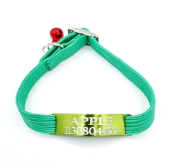 Chapita pasador de gatos VERDE MANZANA+ Collar elastizado VERDE OSCURO - tienda online