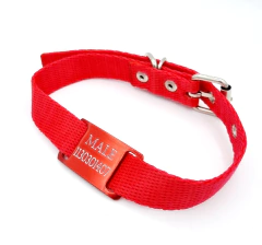 Chapita Pasador anodizado para collares de 2cm de ancho color rojo+collar rojo en internet