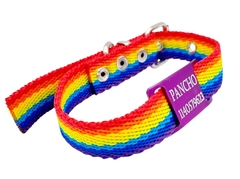 Chapita Pasador anodizado para collares de 2cm de ancho color violeta - Medallas para Perros