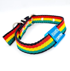 Chapitas Perros Pasador Turquesa+collar Jamaica 2cm Ancho - comprar online
