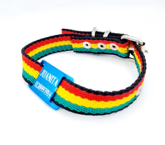 Chapitas Perros Pasador Turquesa+collar Jamaica 2cm Ancho en internet