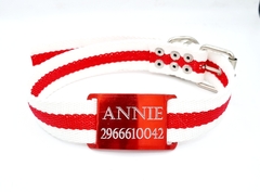 Chapita Perro Pasador Rojo Grande + Collar River 3cm en internet