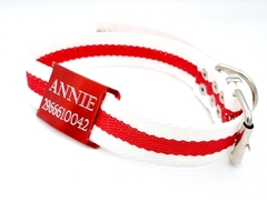 Chapita Perro Pasador Rojo Grande + Collar River 3cm