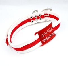 Chapita Perro Pasador Rojo Grande + Collar River 3cm - comprar online