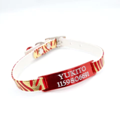 Chapita Pasador Gatos Rojo + Collar Animal Print Rojo - comprar online