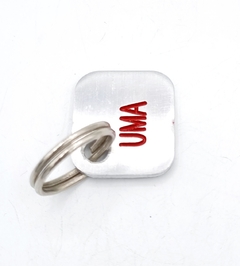 Chapita rectangular Brillant en internet