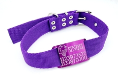Chapita Pasante Violeta Golden + Collar Violeta 3cm