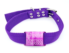 Chapita Pasante Violeta Golden + Collar Violeta 3cm - comprar online