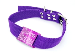 Chapita Pasante Violeta Golden + Collar Violeta 3cm en internet