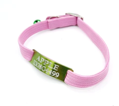 Chapita Gato Verde Manzana! + Collar 1 Cm Elastizado Rosa en internet