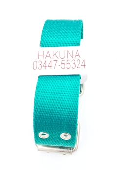 Chapita Perro Grande Para Collares De 4cm Ancho+collar Verde - comprar online