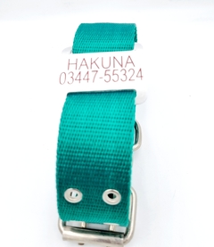 Chapita Perro Grande Para Collares De 4cm Ancho+collar Verde en internet