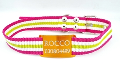 Chapitas Perros Pasador Naranja+ Collar De 3cm BENETTON
