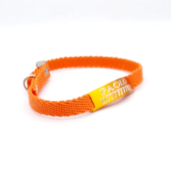 Chapita Gato Pasador NARANJA + Collar 1 Cm Reforzado NARANJA - comprar online