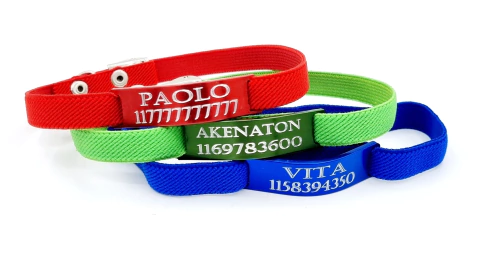 Combos Chapita Gato Color + Collar 1 Cm Elastizado reforzado x 3 Unidades