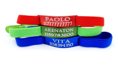 Combos Chapita Gato Color + Collar 1 Cm Elastizado reforzado x 3 Unidades - comprar online