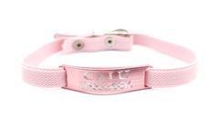 Imagen de Chapita Gato Aluminio Color+ Collar Reforzado Elastizado