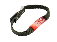 Chapitas Para Gatos Pasador ROJO+ Collar De 1 Cm Reforzado VERDE MILITAR - comprar online
