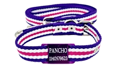 Chapita Perros Pasador VIOLETA +collar+ correa ARMONY 2cm Ancho
