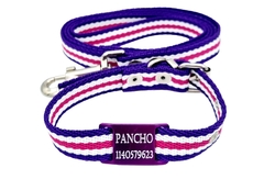 Chapita Perros Pasador VIOLETA +collar+ correa ARMONY 2cm Ancho - comprar online