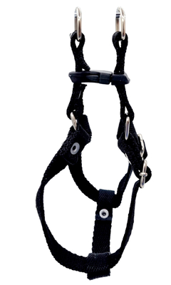 Pretal pechera para perros pequeños color NEGRO Talle 1 - comprar online