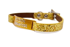 Chapita Gatos Aluminio+ Collar De 1 Cm Brillante DORADO en internet