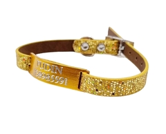 Chapita Gatos Aluminio+ Collar De 1 Cm Brillante DORADO - tienda online