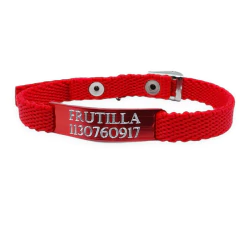 Chapita Gato color + Collares Lisos para Gatos y Perros Chicos 1cm
