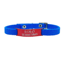 Chapita Gato color + Collares Lisos para Gatos y Perros Chicos 1cm - tienda online