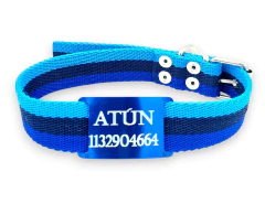 Chapitas Perros Pasador azul + Collar AQUA de 3cm - comprar online