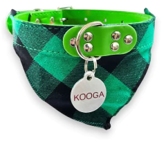 Combo Canchero: Collar con Bandana + Chapita Personalizada - comprar online