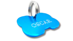 Magnus canin hueso mediano anodizado color turquesa - comprar online