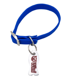 Chapita pezcat Pop con cara de gatito + collar elastizado - comprar online