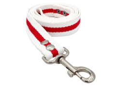 Correa RIVER de 3cm de ancho Y 1.20cm de largo