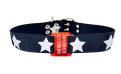 Chapita pasador para collares de 4cm de ancho en color + COLLAR BIG STAR - comprar online