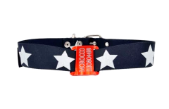 Chapita pasador para collares de 4cm de ancho en color + COLLAR BIG STAR - Medallas para Perros